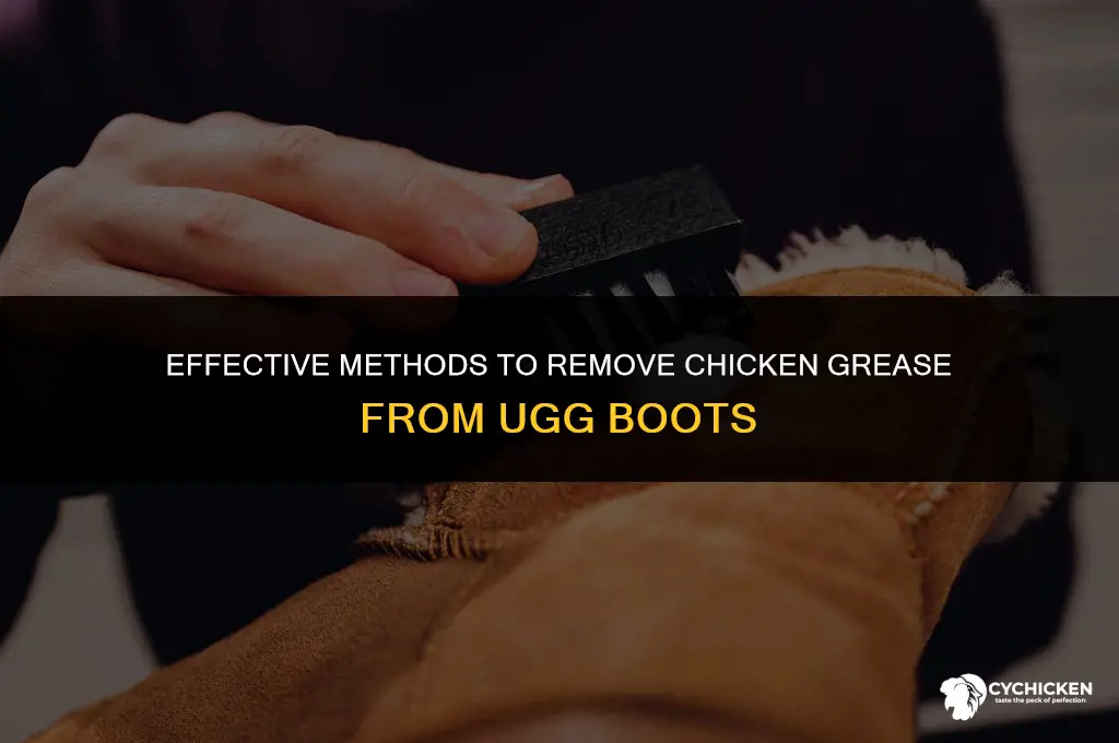 how to get chicken grease out of ugg boots