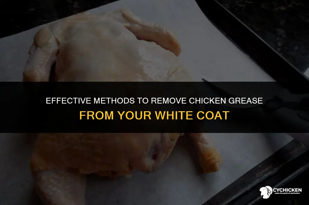 how to get chicken grease out of white coat
