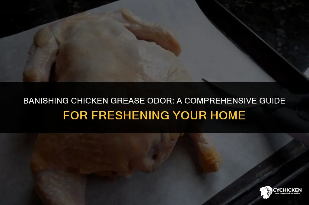 how to get chicken grease smell out of house