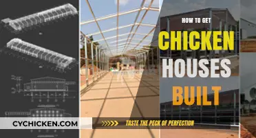 Building Chicken Houses: A Comprehensive Guide for Poultry Enthusiasts