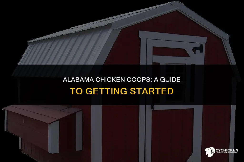 how to get chicken houses in alabama