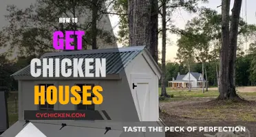Building a Coop: Your Guide to Getting Started with Chicken Houses