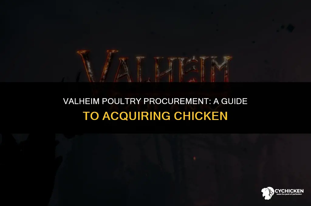 how to get chicken in valheim