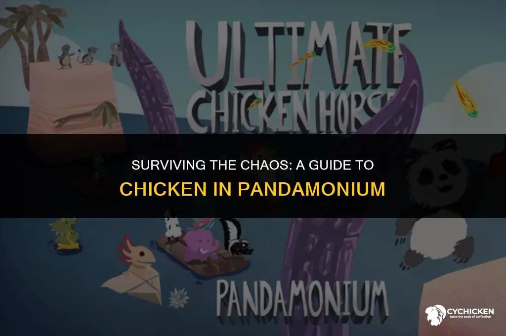 how to get chicken is pandamoniam
