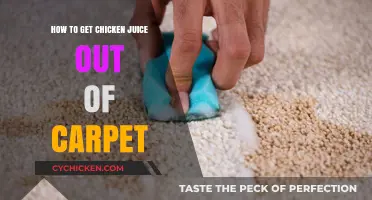 Effective Methods to Remove Chicken Juice Stains from Carpet