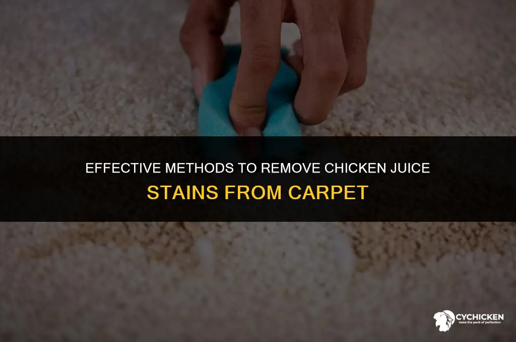 how to get chicken juice out of carpet