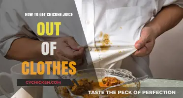 Easy Tips: Removing Chicken Juice Stains from Clothes