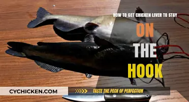Mastering the Art of Keeping Chicken Liver Secure on Your Hook