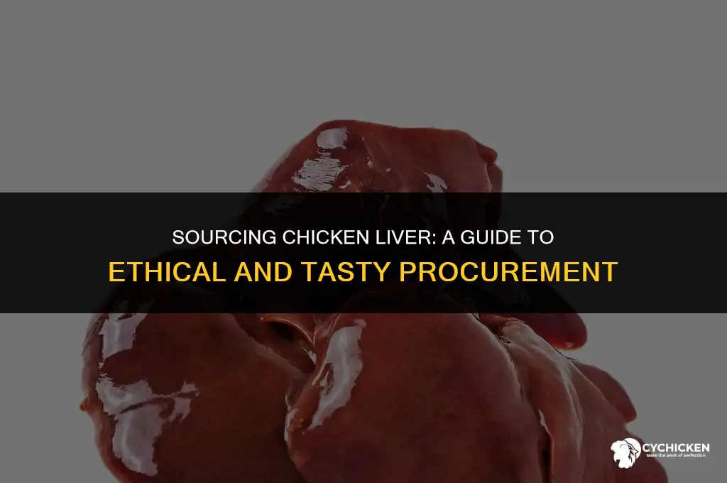 how to get chicken liver