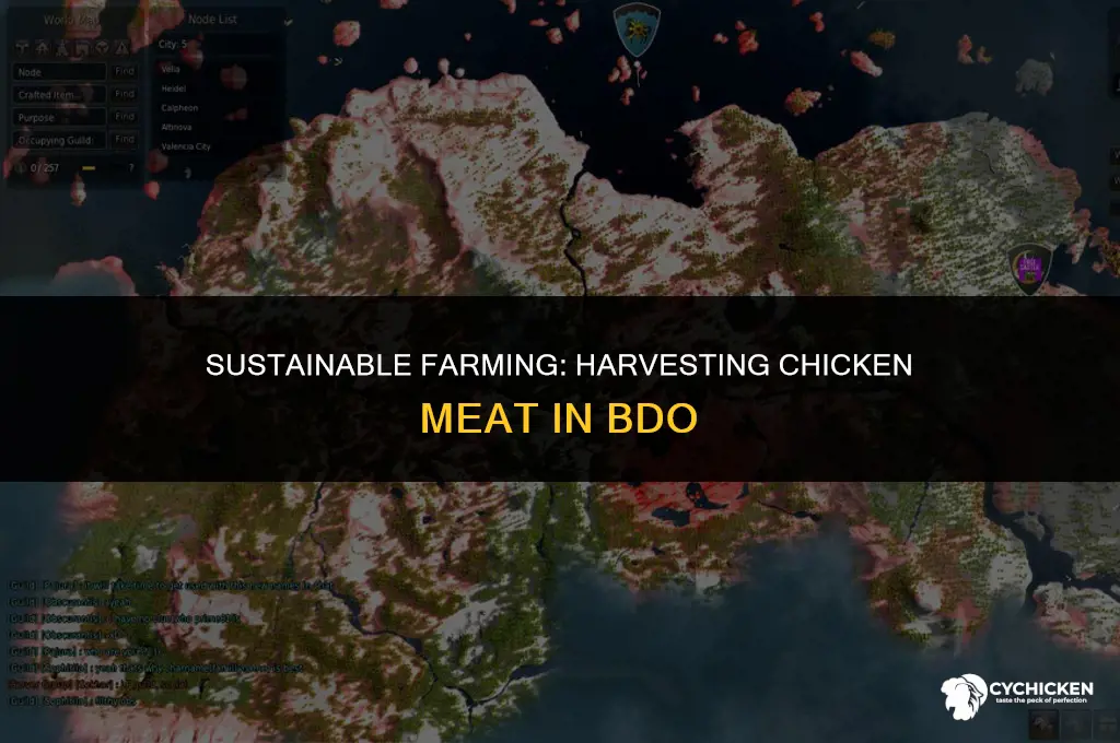 how to get chicken meat in bdo
