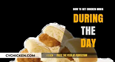 Snack Smart: Unlocking the Secret to Daytime Chicken Minis