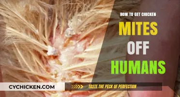 Effective Ways to Remove Chicken Mites from Human Skin