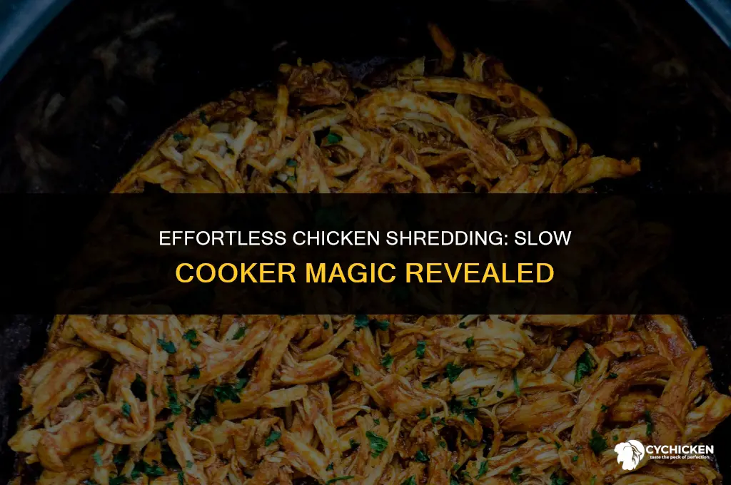 how to get chicken off the carcass with slow cooker