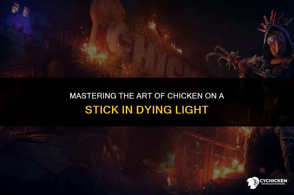 how to get chicken on a stick dying light