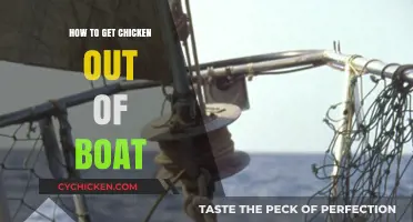 Navigating Poultry Predicaments: A Guide to Chicken Boat Escapes