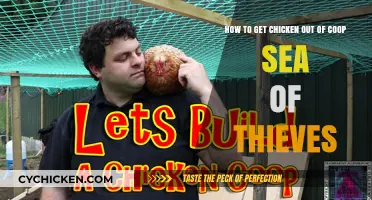 Coop Conundrum: Strategies to Retrieve Your Chicken in Sea of Thieves