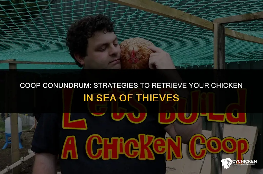 how to get chicken out of coop sea of thieves