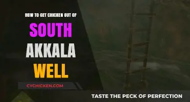 Rescuing Cluck: A Guide to Freeing the Chicken from South Akkala Well