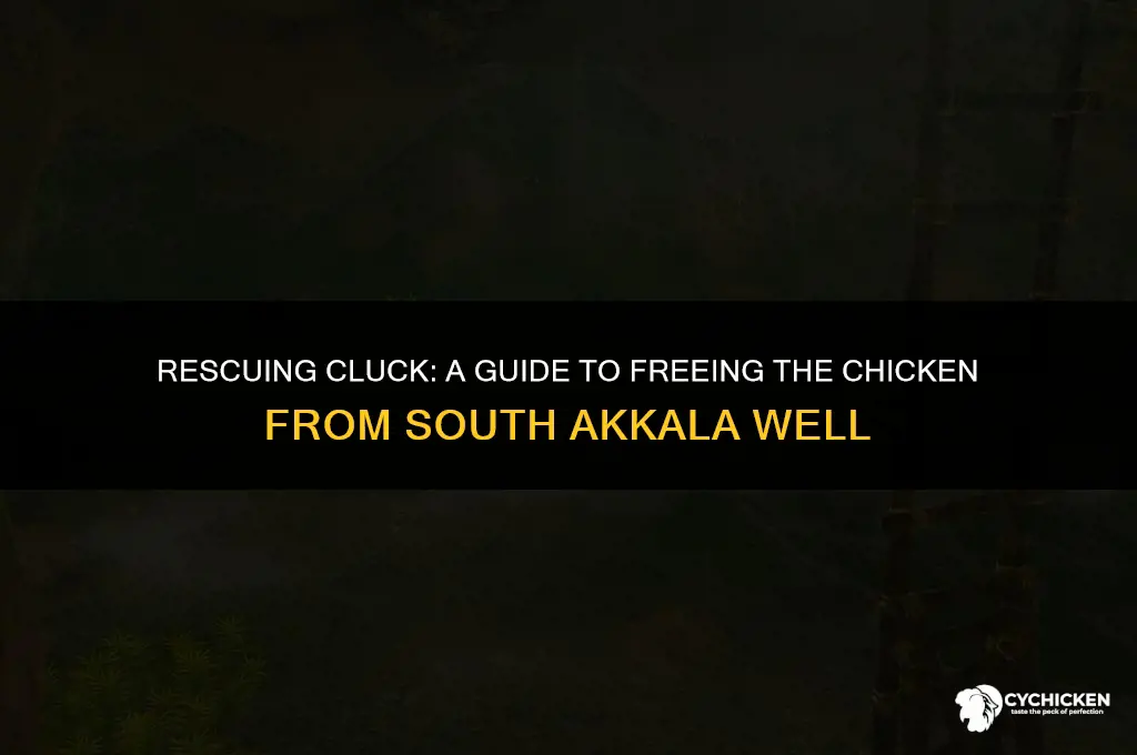 how to get chicken out of south akkala well