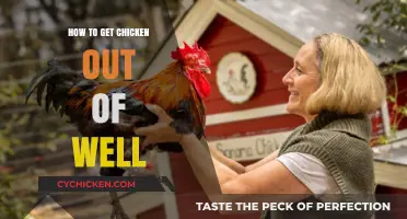 Rescuing Your Feathered Friend: A Guide to Safely Removing Chickens from Wells