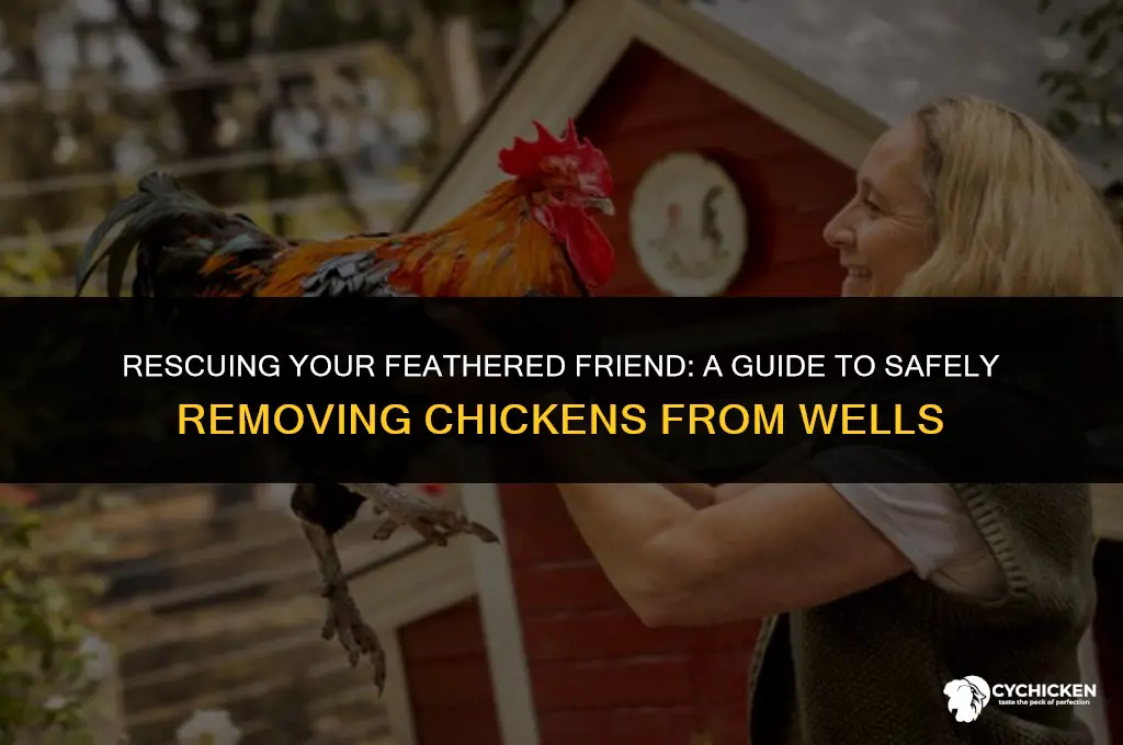 how to get chicken out of well