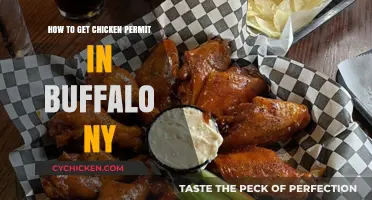 Navigating the Process: How to Obtain a Chicken Permit in Buffalo, NY