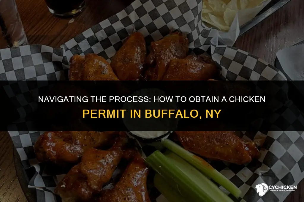 how to get chicken permit in buffalo ny