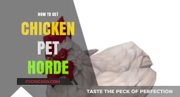 Unlocking the Secrets: How to Build Your Ultimate Chicken Pet Horde