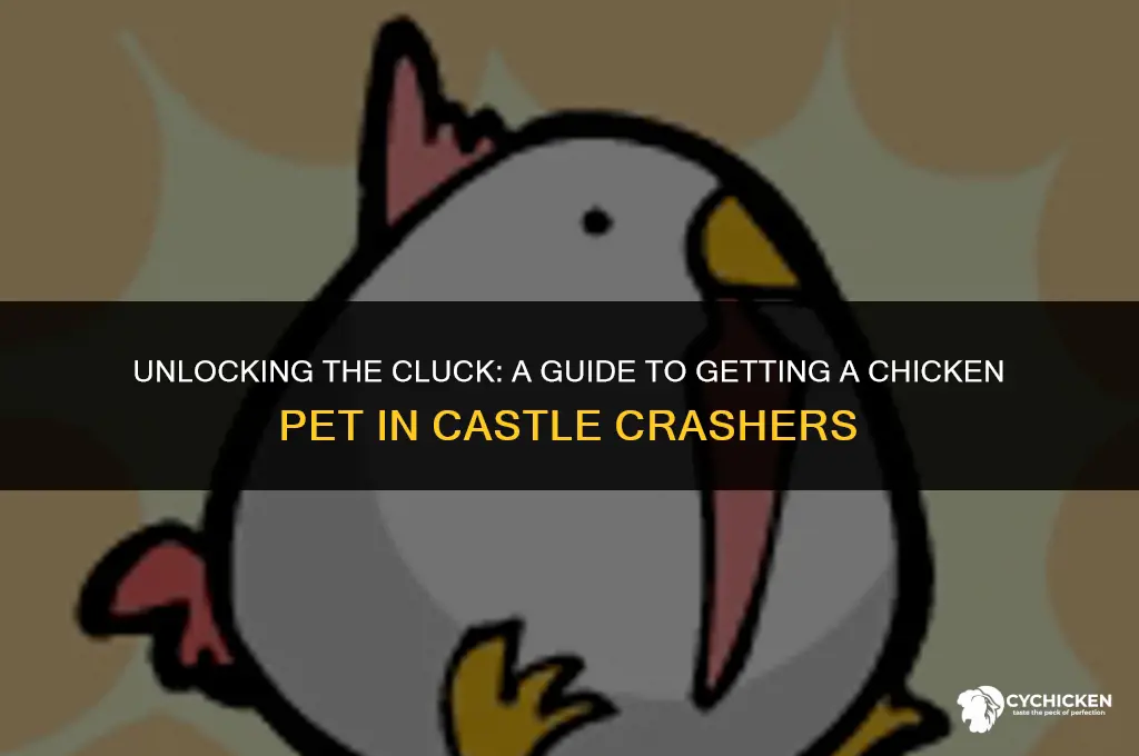 how to get chicken pet in castle crashers