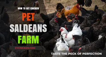 Unlocking the Secrets: How to Obtain Chicken Pets at Saldana's Farm