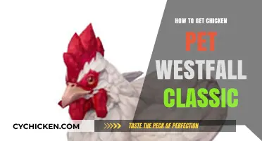 Acquiring a Chicken Pet in Westfall Classic: A Comprehensive Guide