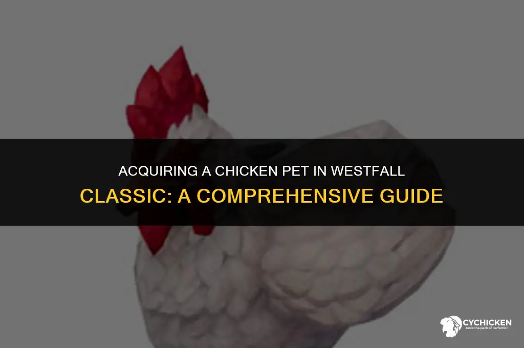 how to get chicken pet westfall classic