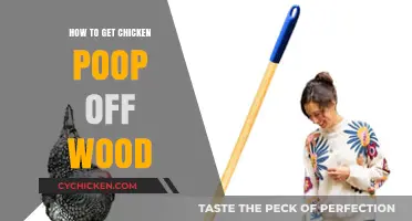 Effective Methods to Remove Chicken Poop from Wood Surfaces