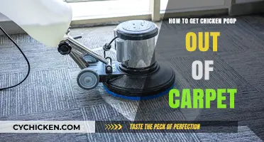 Effective Methods to Remove Chicken Poop from Carpet