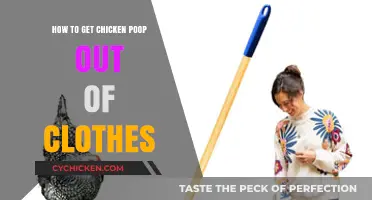 Effective Methods to Remove Chicken Poop Stains from Clothing