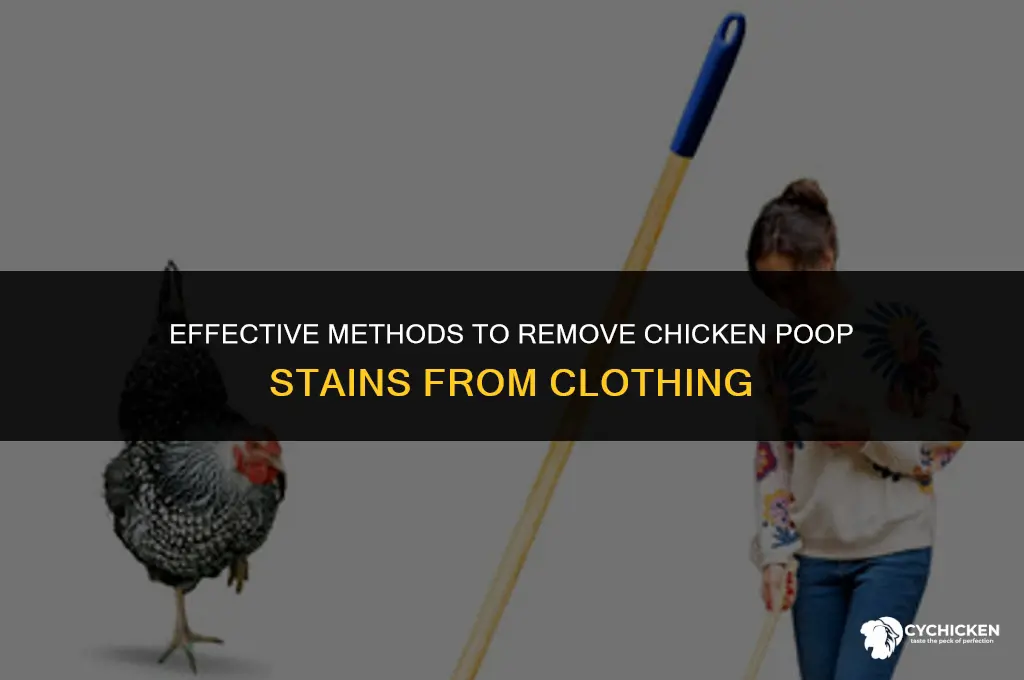 how to get chicken poop out of clothes