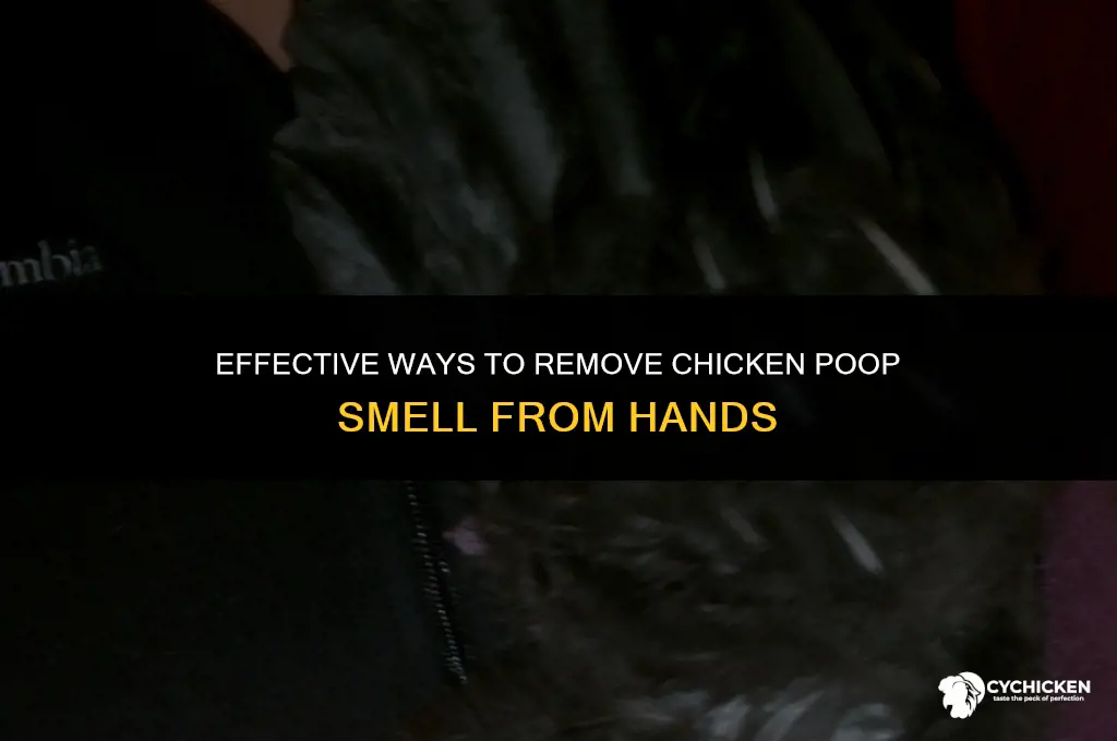 how to get chicken poop smell off hands