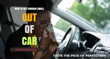 Freshen Up Your Ride: Removing Chicken Odor from Your Car
