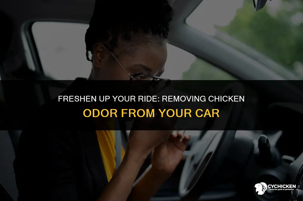 how to get chicken smell out of car