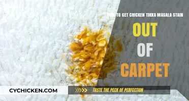 Conquering Chicken Tikka Masala Stains: A Carpet Cleaning Guide