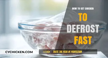 Quick Thaw: The Ultimate Guide to Defrosting Chicken Fast