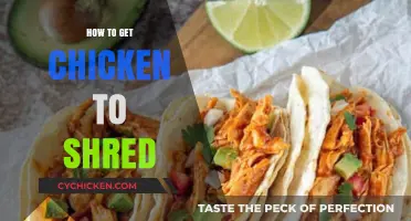 Mastering the Art of Shredding Chicken: Tips and Tricks