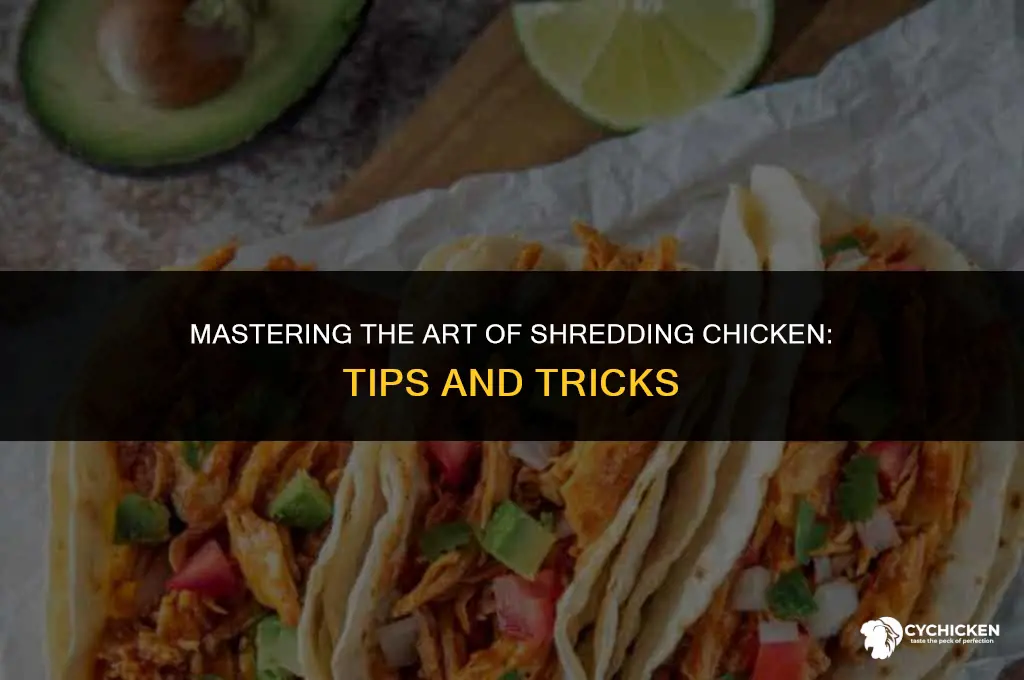 how to get chicken to shred