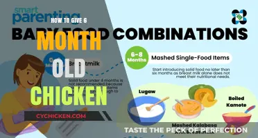 Introducing Chicken to Your 6-Month-Old: A Step-by-Step Guide