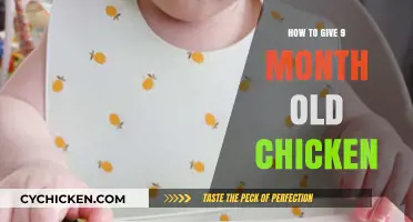 Introducing Chicken to Your 9-Month-Old: A Step-by-Step Guide