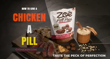 Easy Tips for Giving Your Chicken a Pill Stress-Free