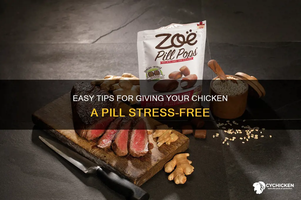 how to give a chicken a pill