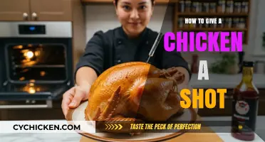 Administering Injections to Chickens: A Step-by-Step Guide for Poultry Owners