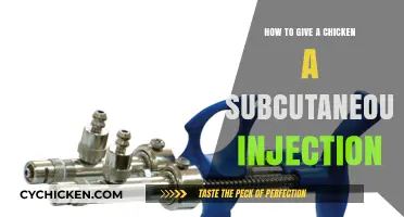 Mastering Subcutaneous Injections for Chickens: A Step-by-Step Guide
