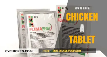 Administering Tablets to Chickens: A Step-by-Step Guide for Poultry Owners
